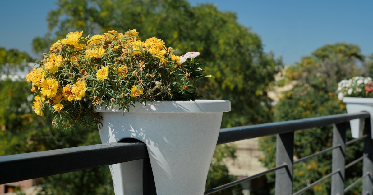 Fioriera da inserire sulla ringhiera di un balcone stretto