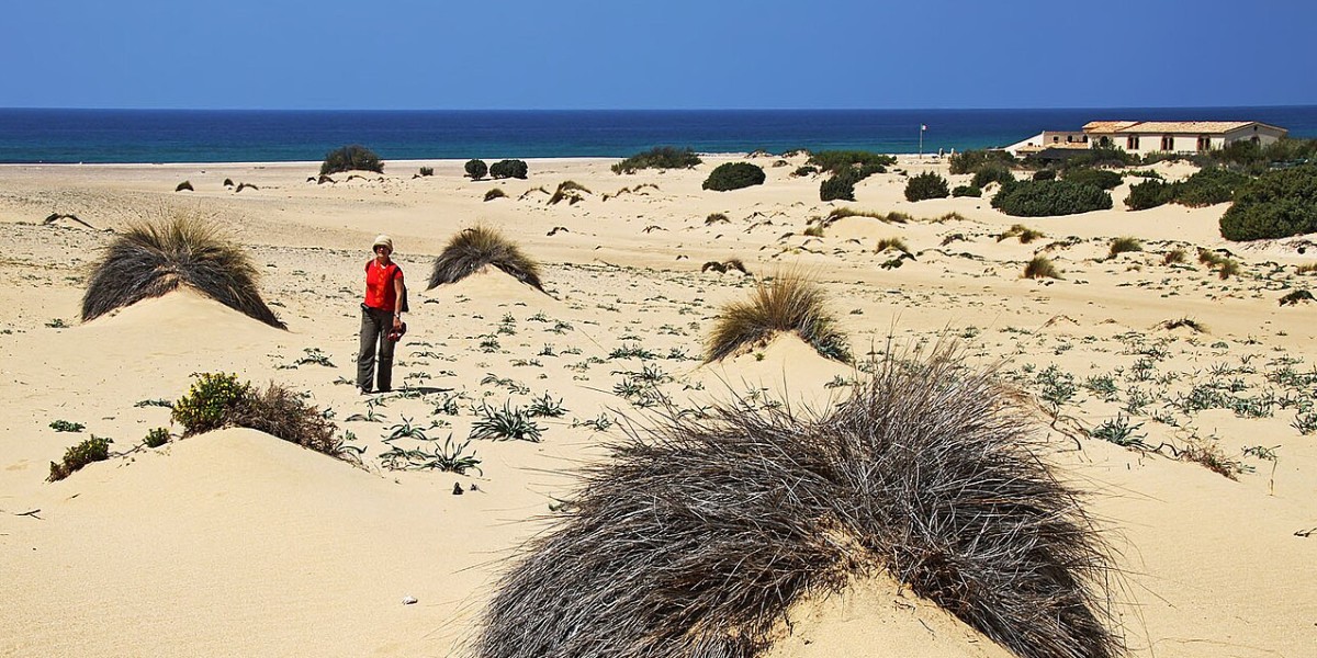dune di Piscinas