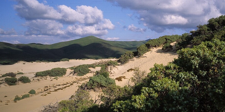 dune di Piscinas