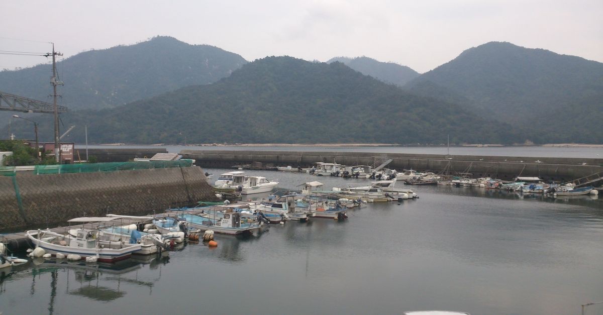 panorama del territorio della città di Iwakuni 
