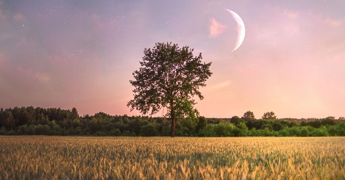 panorama agricolo con Luna piena 