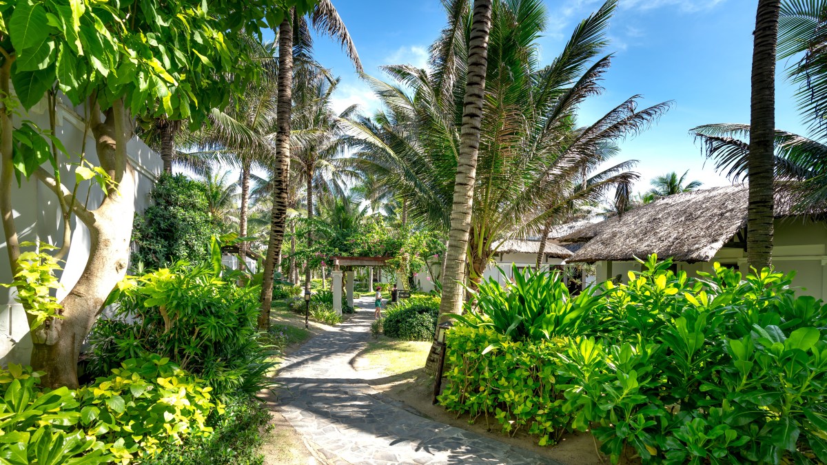 creare un giardino tropicale