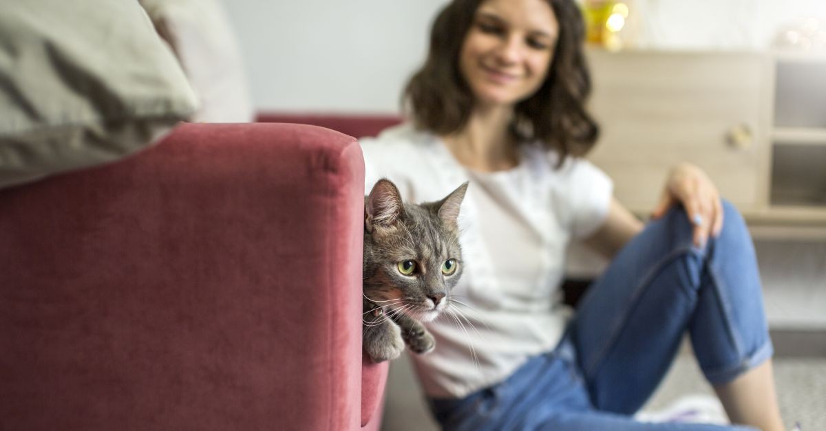 ragazza controlla il suo gatto sorridendo 