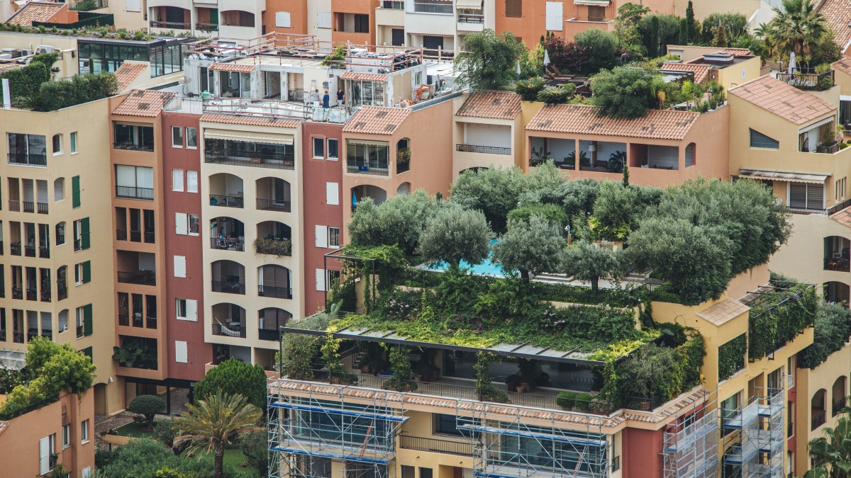 quanti alberi servono per raffreddare le città