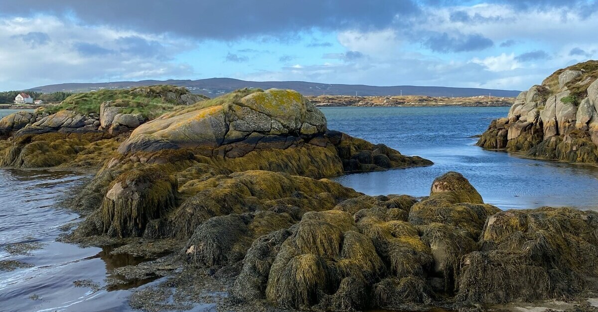 La Wild Atlantic Way in Irlanda