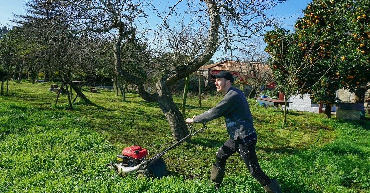 Taglio periodico dell'erba di un giardino