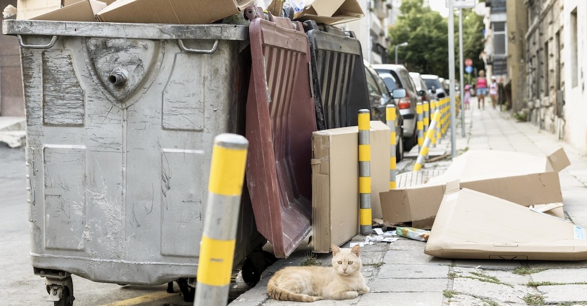 Cassonetti dell'immondizia sulla strada