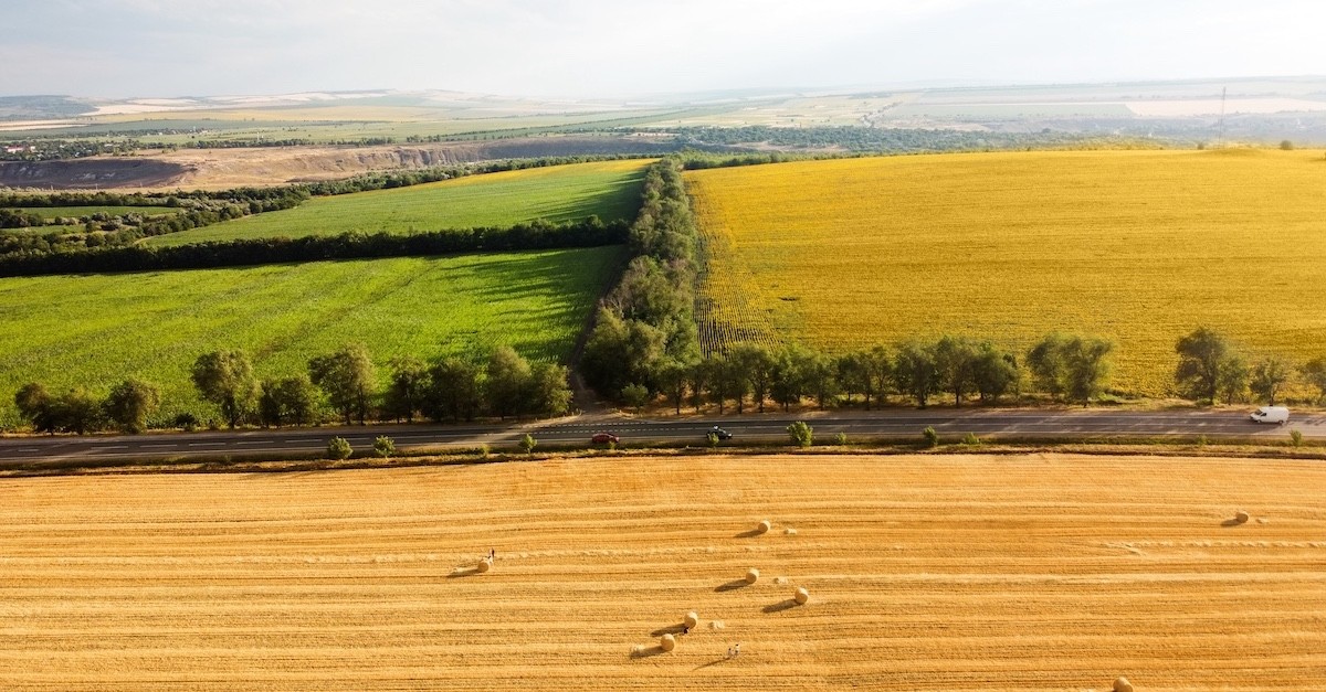 Alcuni fondi agricoli coltivati
