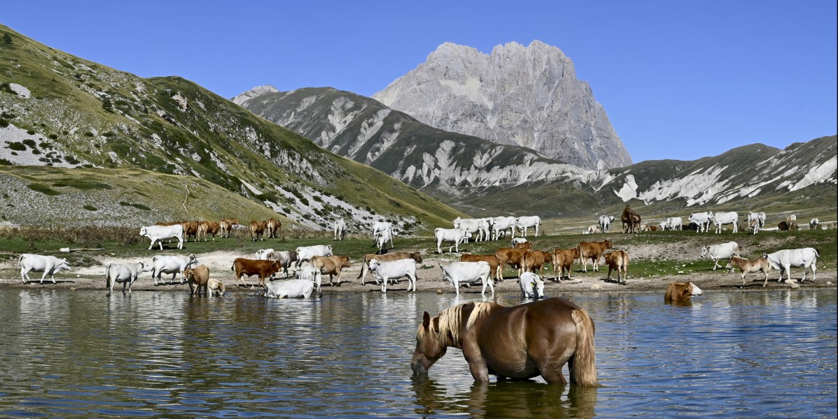 Things to Do in Abruzzo