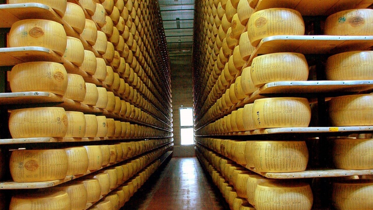 parmigiano reggiano