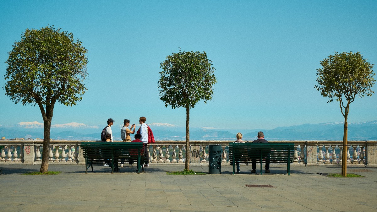quanti alberi ci sono a napoli