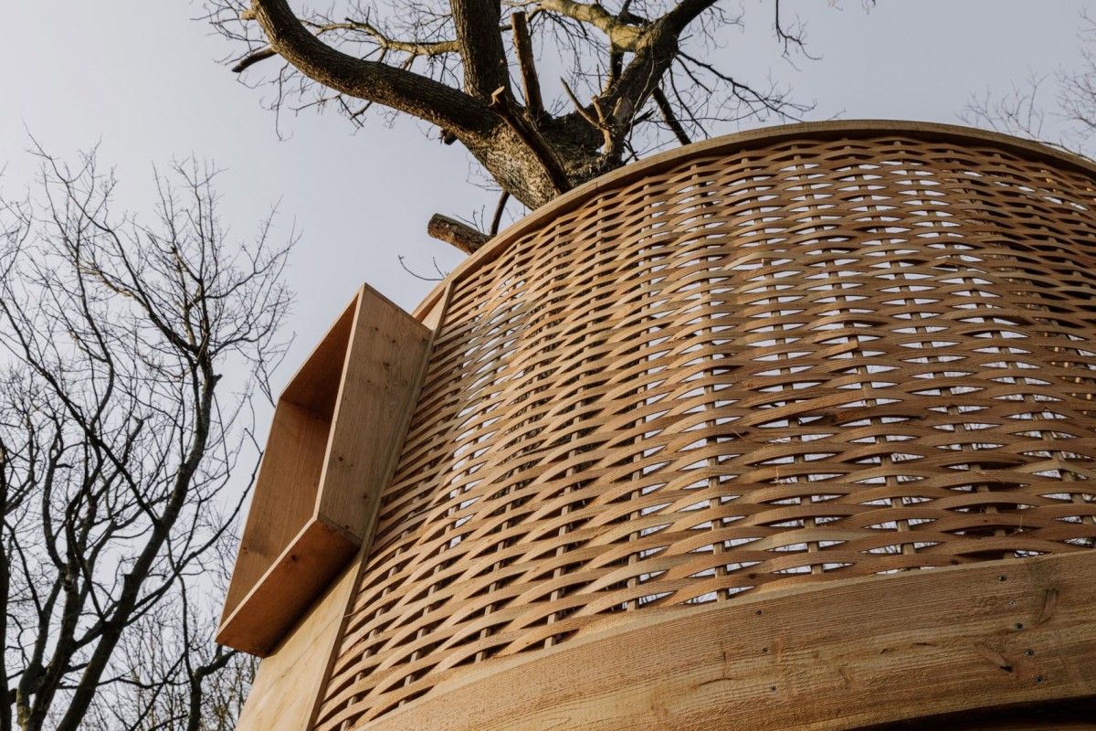 Le pareti della casa sull'albero sono costruite con legno di larice ad incastro
