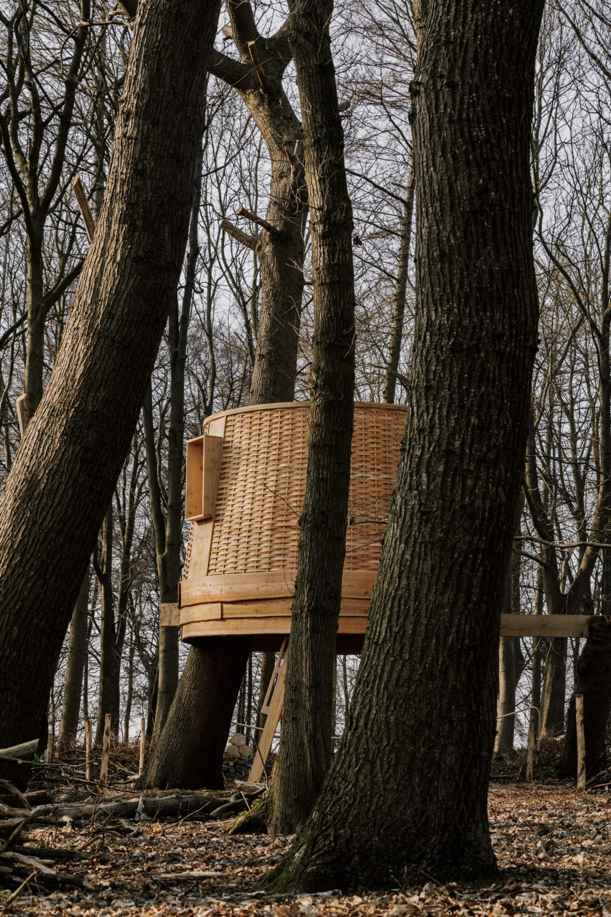 La casa sull'albero è un'aggiunta permanente alla tenuta di Harewood House