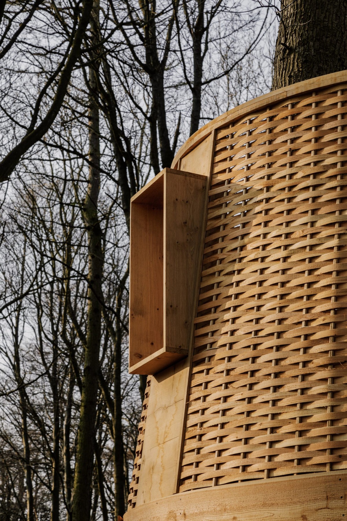 Il legno utilizzato per costruire la casa sull'albero è un sottoprodotto della gestione forestale