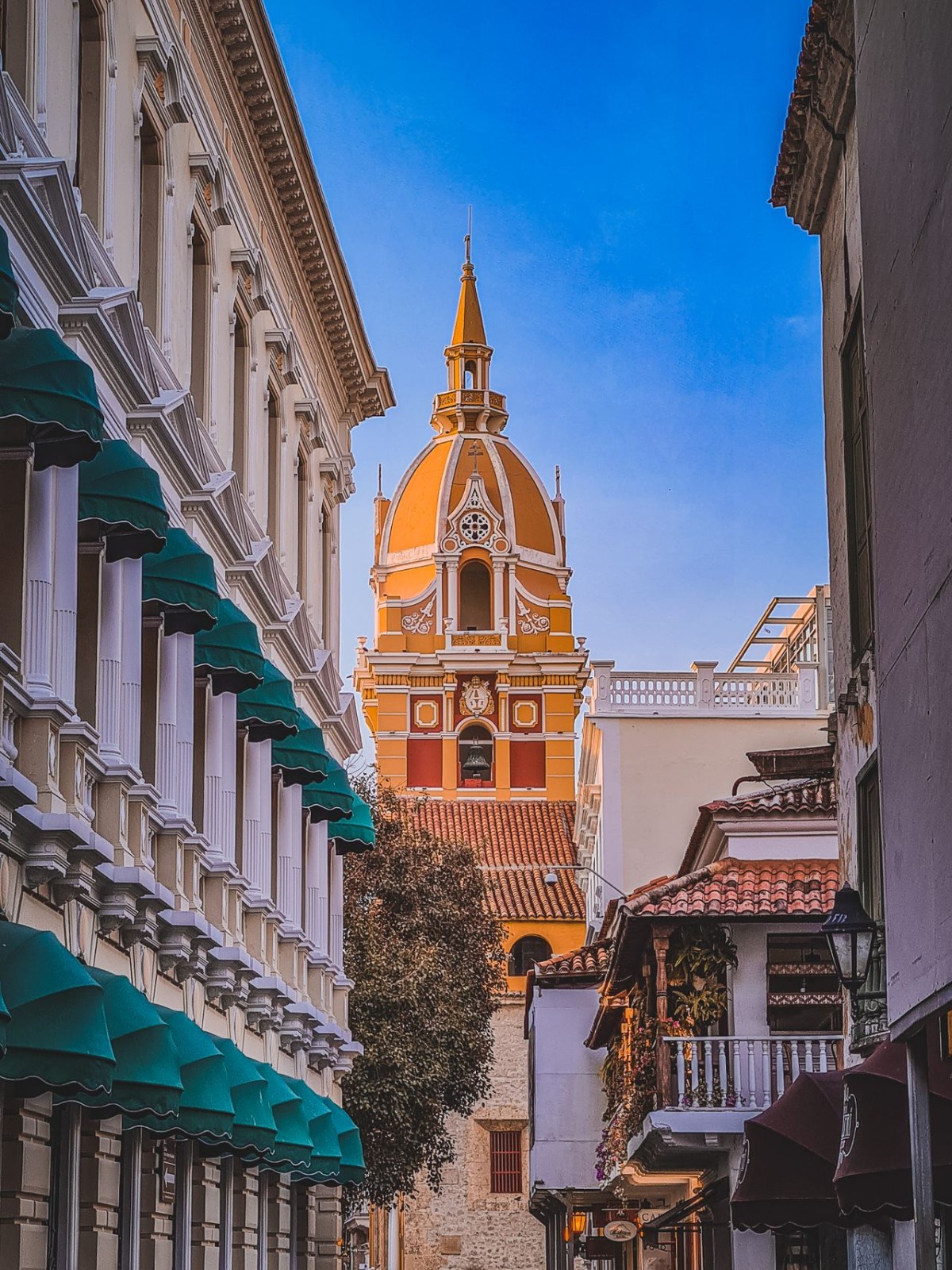 La cattedrale si trova nel quartiere di San Pedro