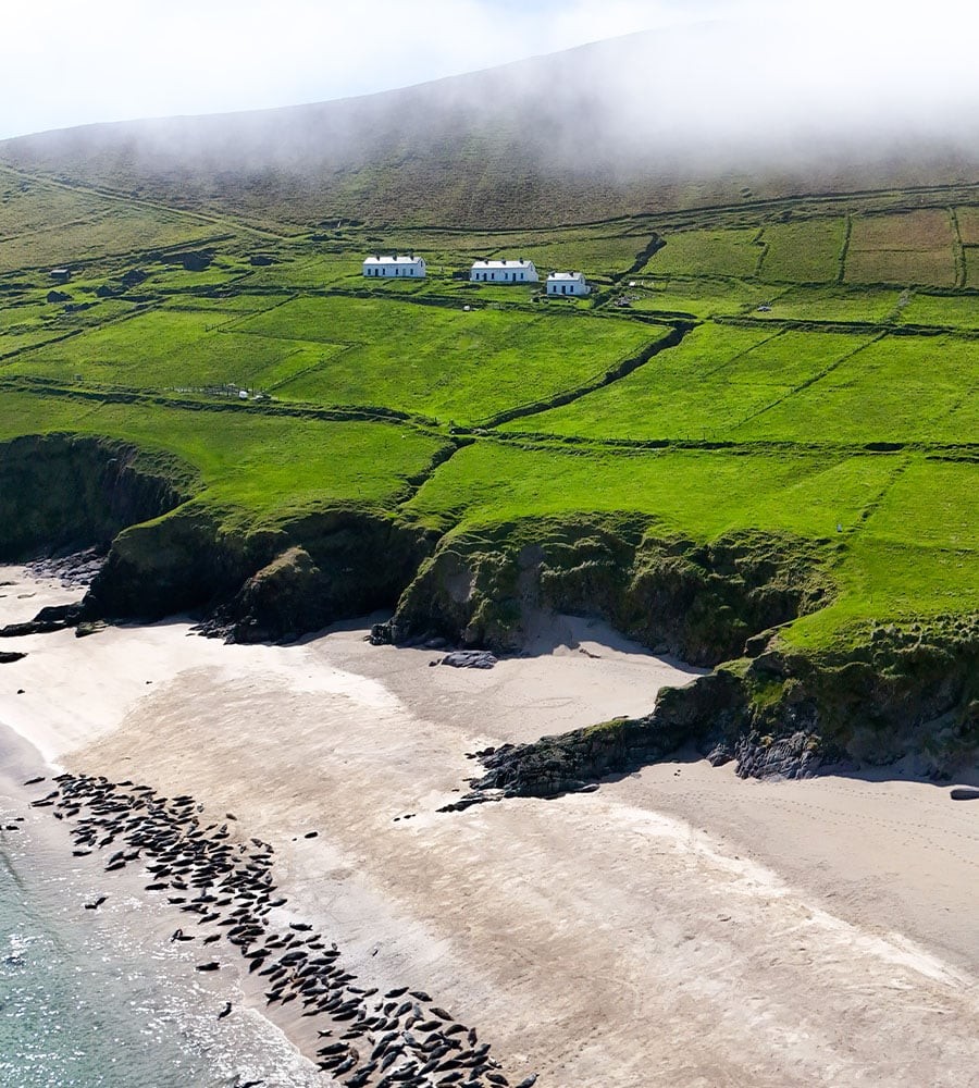 Great Blasket