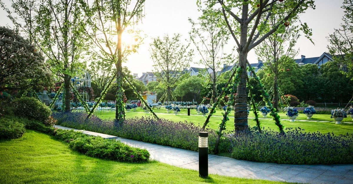 Ampio giardino con sistema di illuminazione