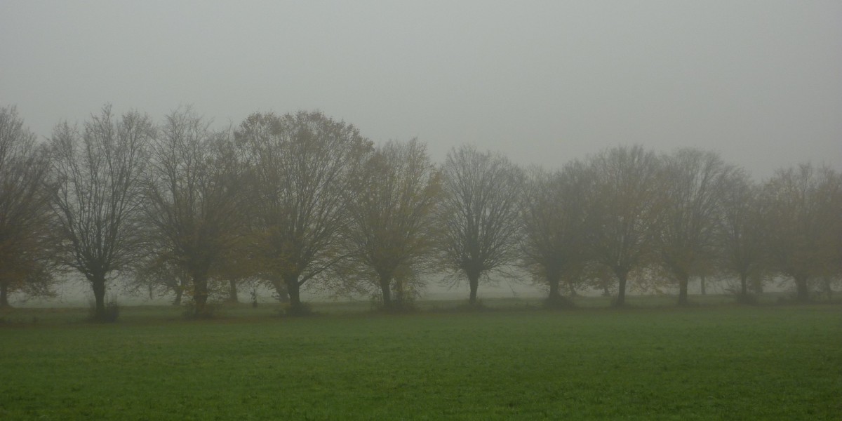 nebbia in Italia
