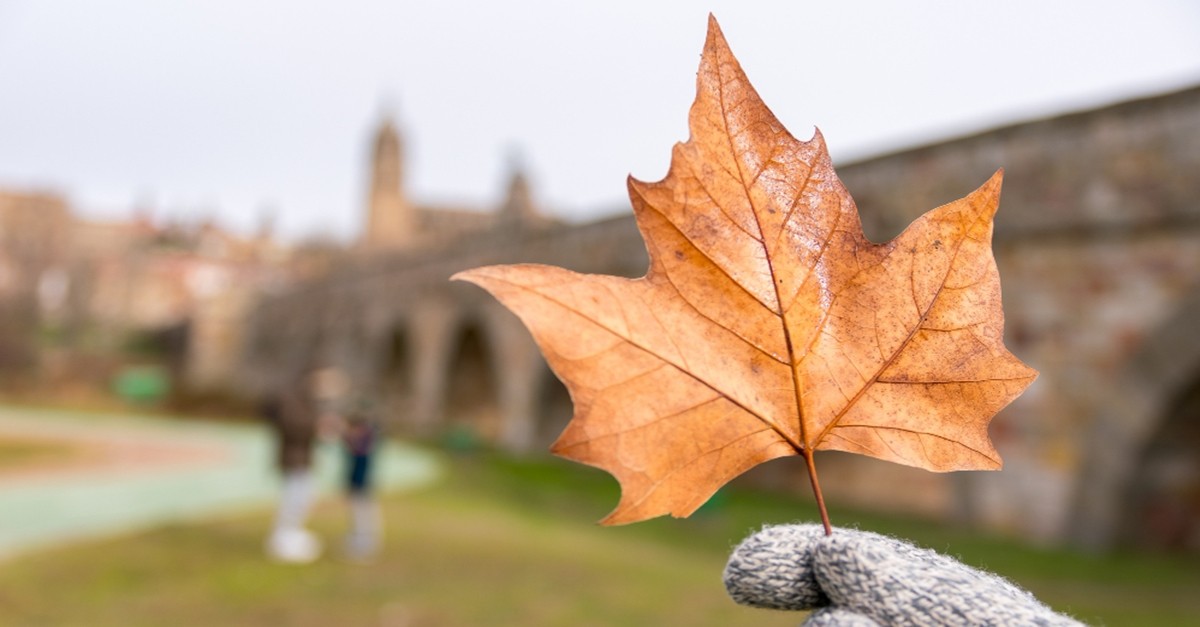 autunno