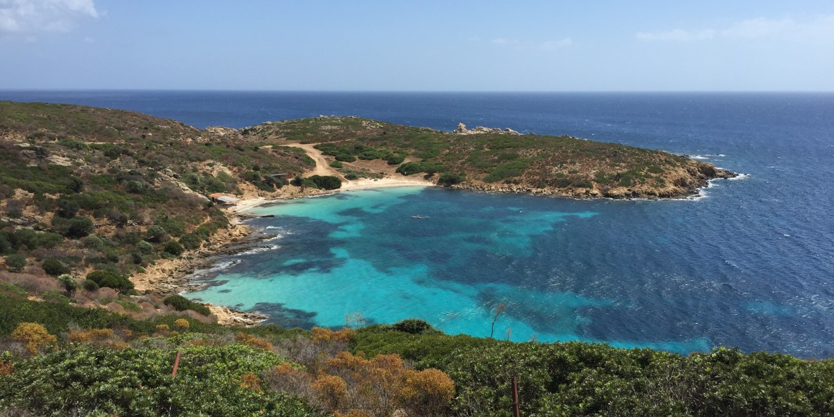 Asinara Island