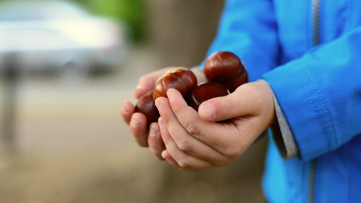 Cosa succede se metti le castagne direttamente sul fuoco?