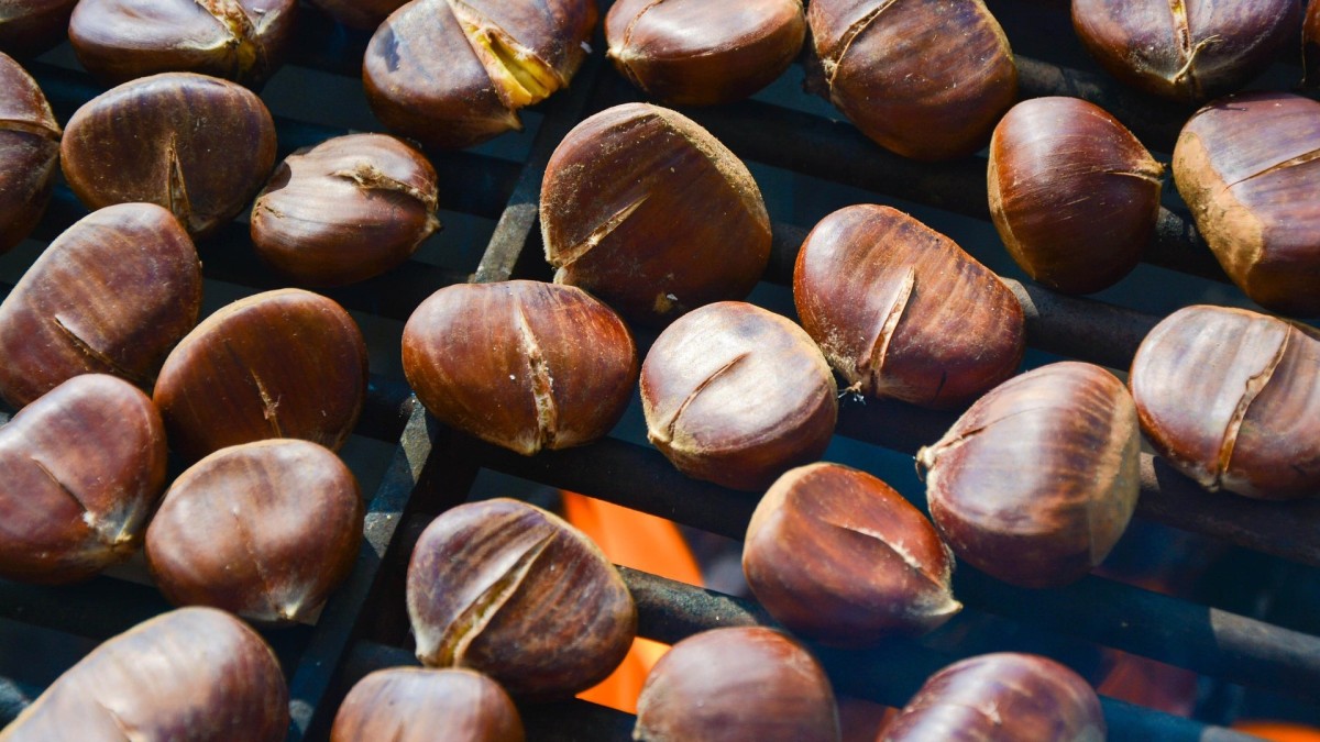 Cosa succede se metti le castagne direttamente sul fuoco?