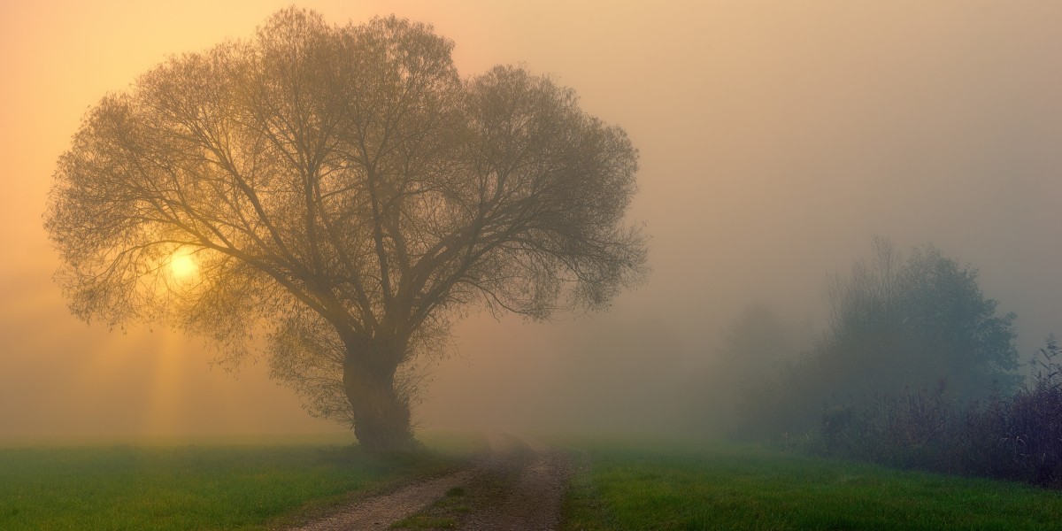 nebbia in Italia