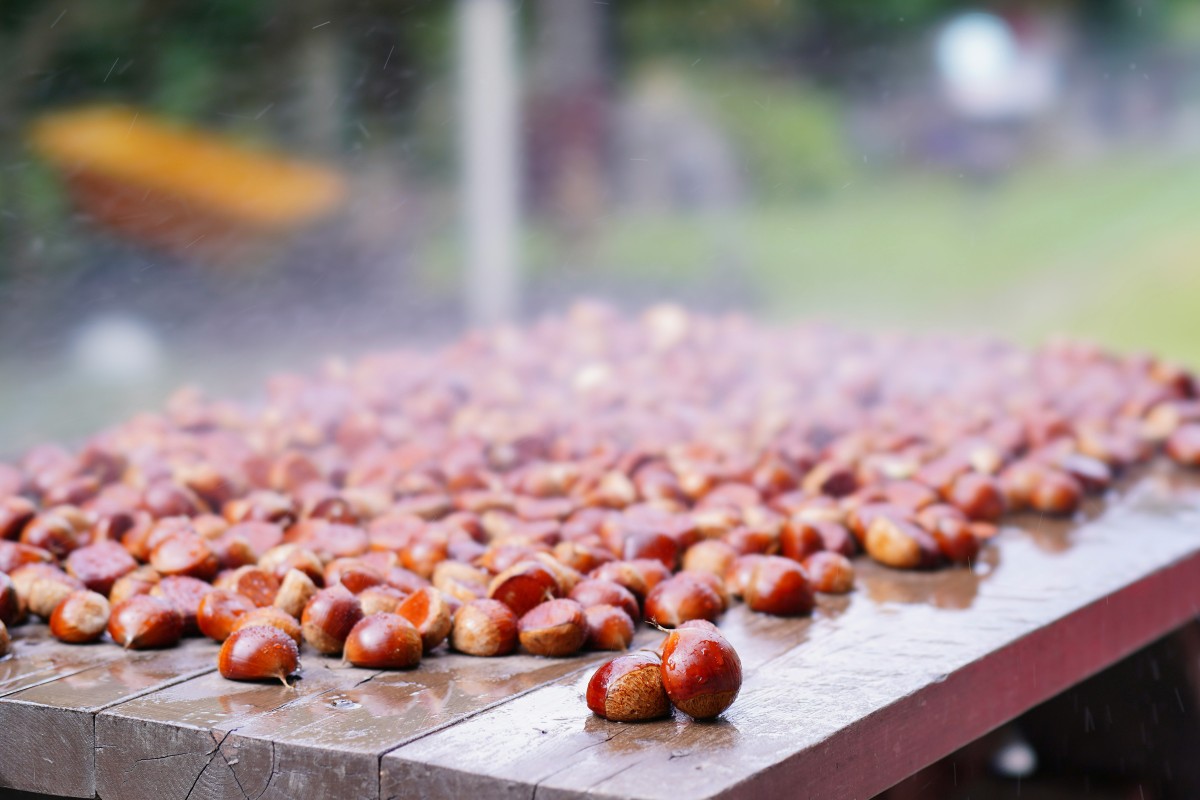 conservare le castagne fresche