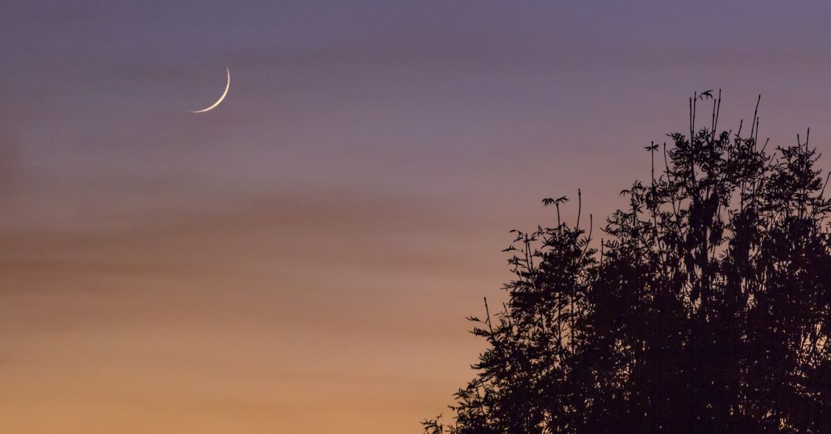 Luna calante in cielo 