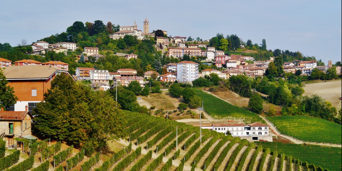 Alba White Truffle Fair 2026