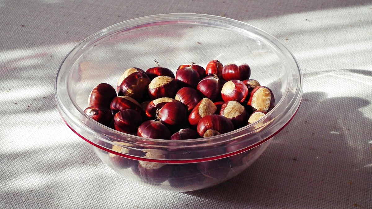 conservare le castagne fresche