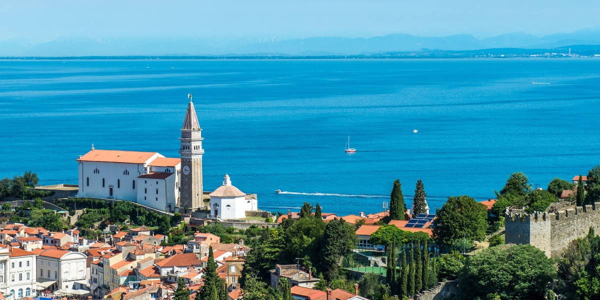 città con più alberi in Italia 