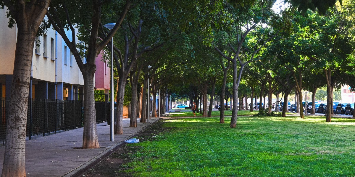 città con più alberi in Italia 