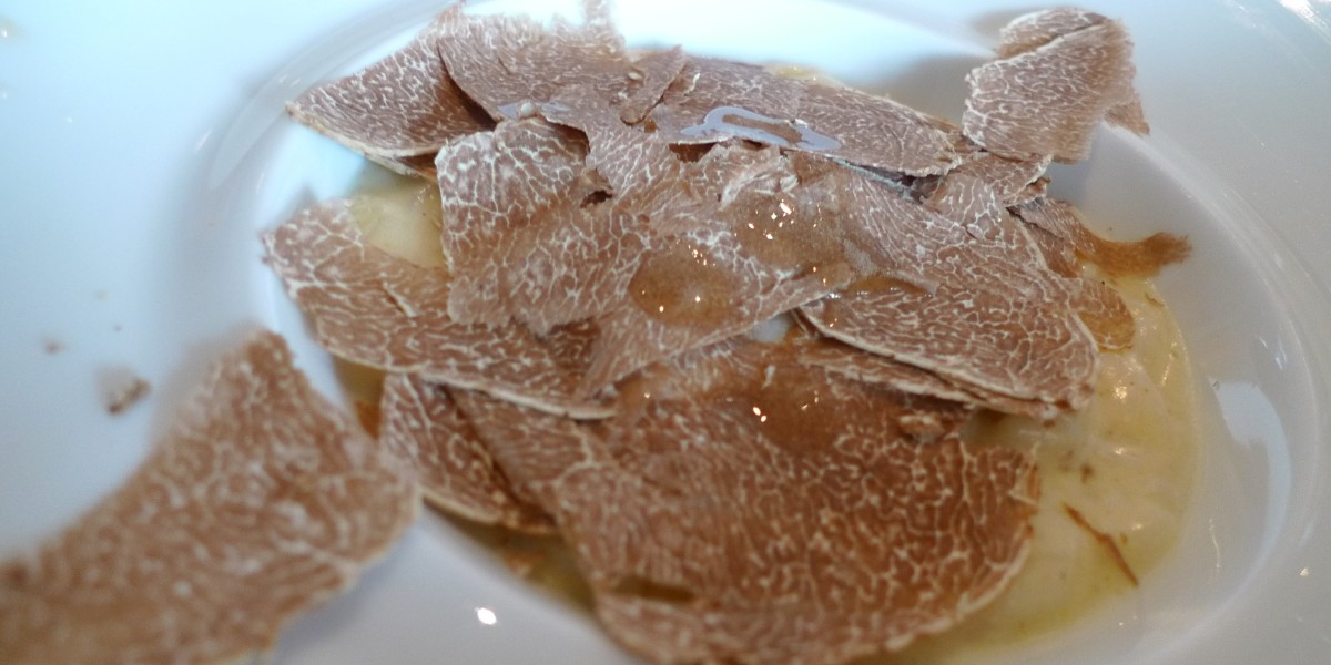 white truffles Alba