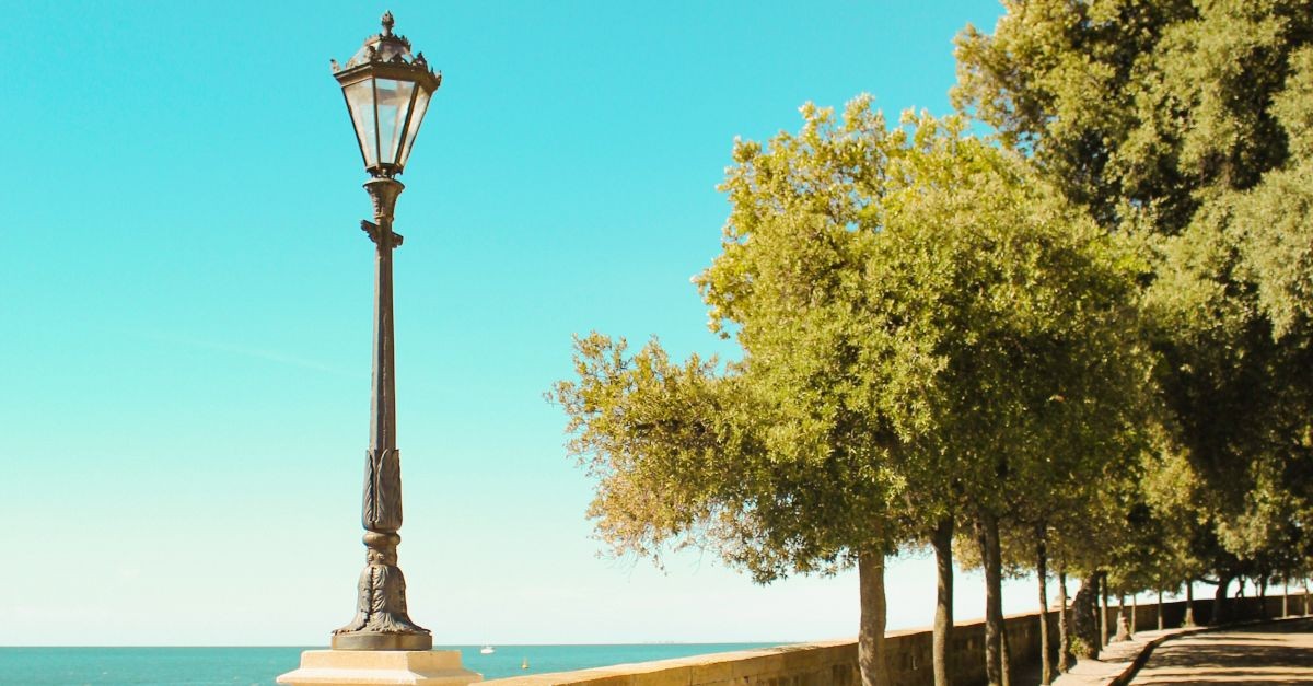 Trieste città piena di alberi 