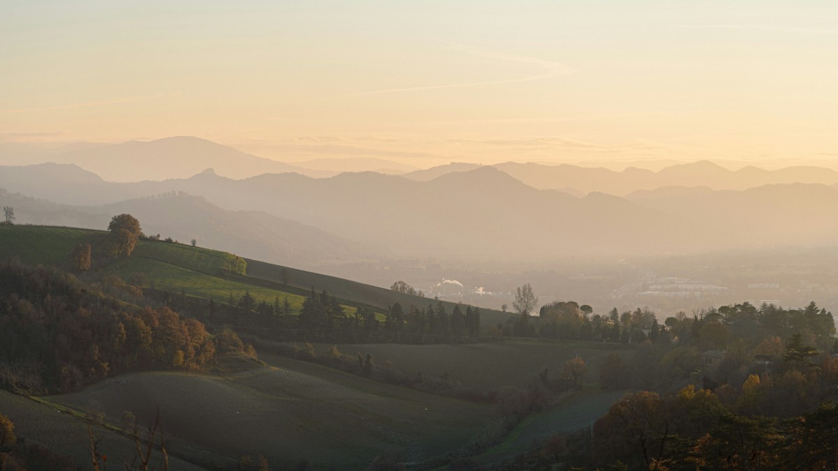 nebbia bologna