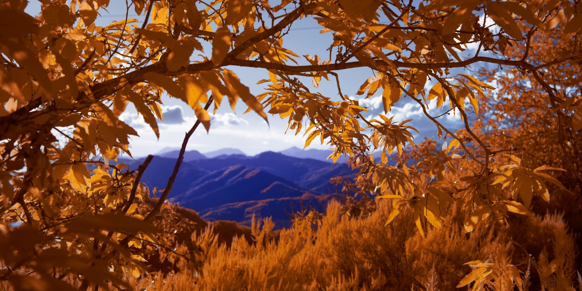 autunno in Toscana