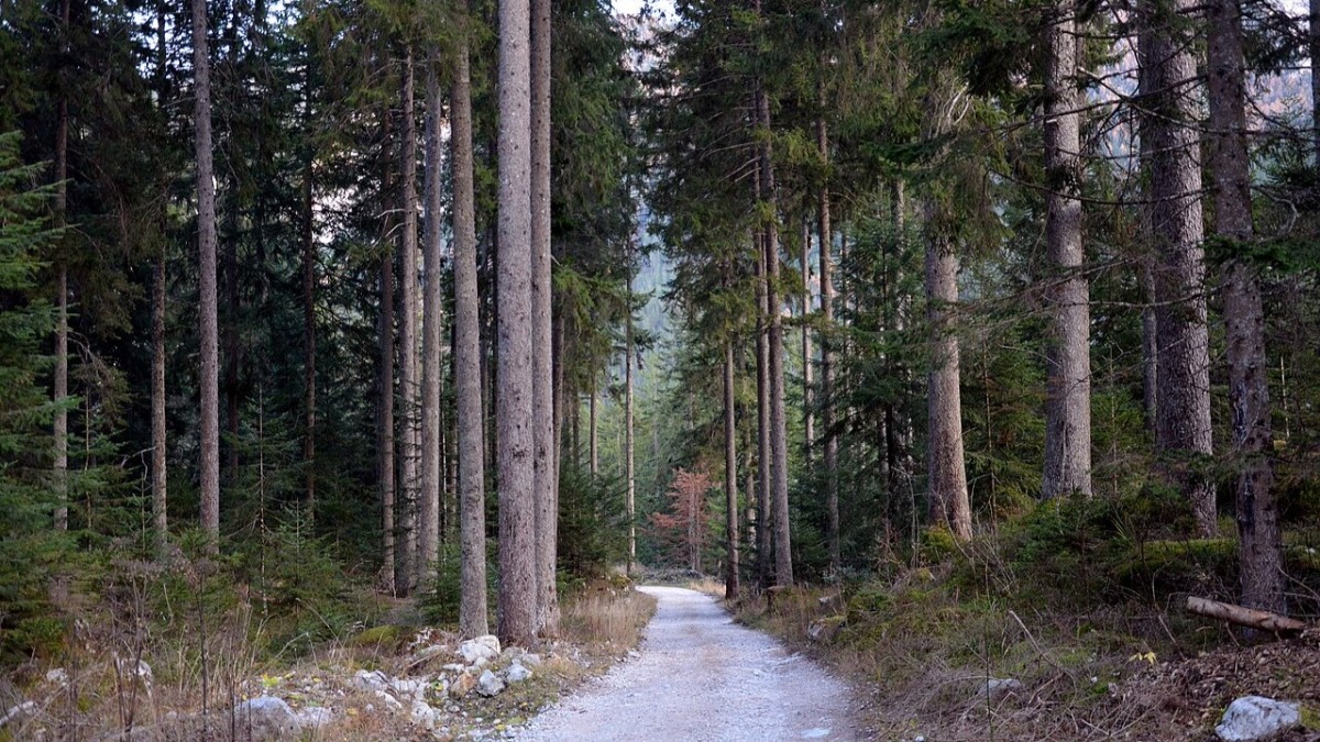 val di non
