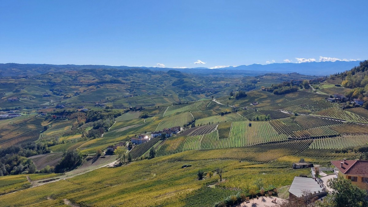 langhe