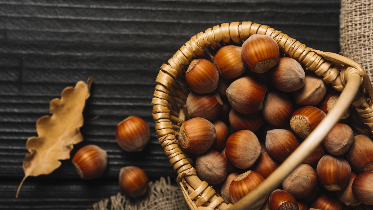 castagneti in italia