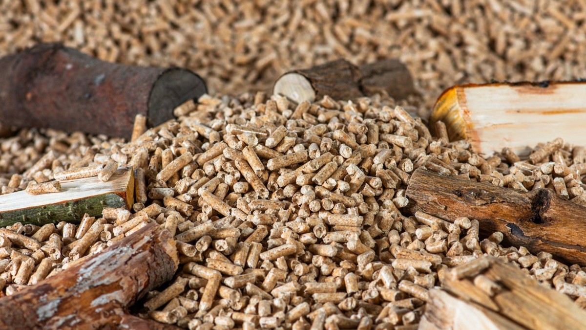 pellet
