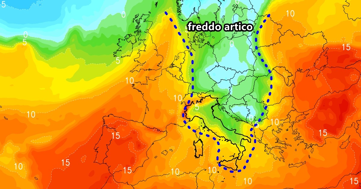 freddo