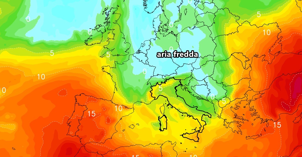 freddo
