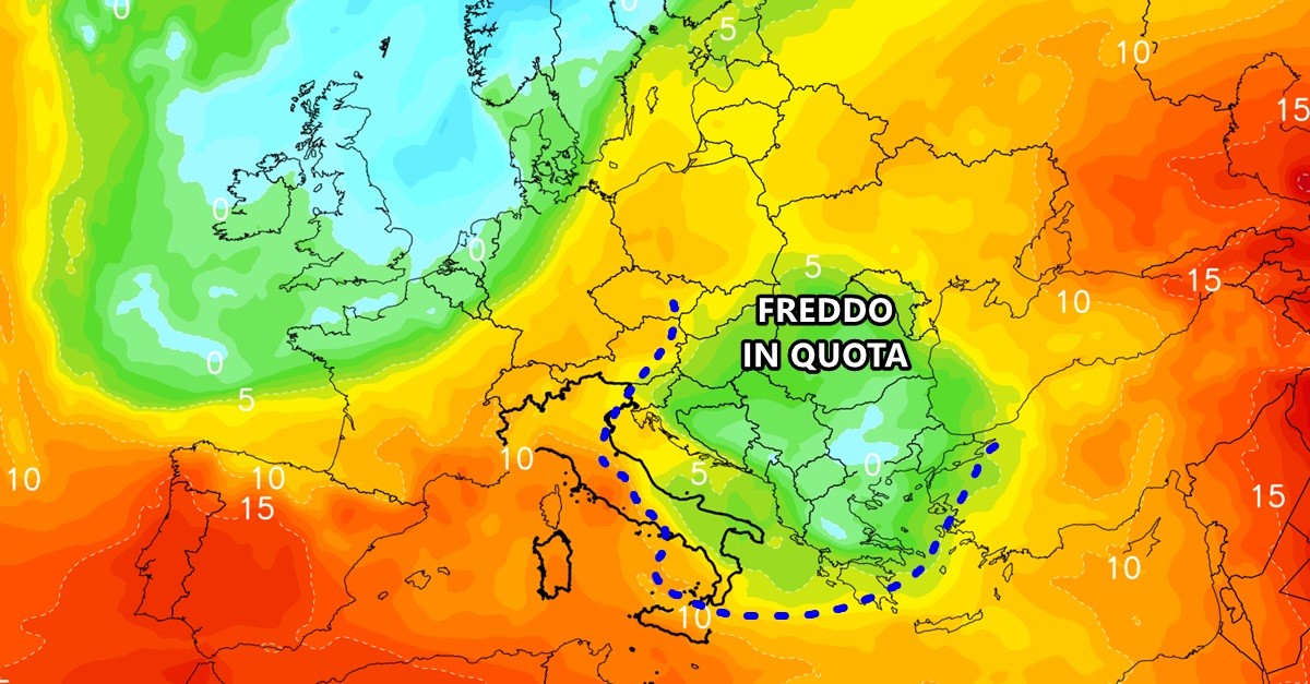 Freddo