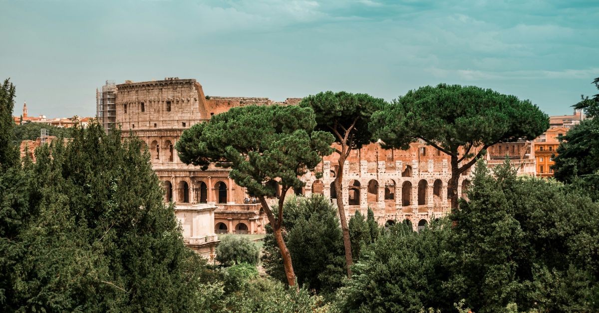 Il Colosseo abbracciato dagli alberi 
