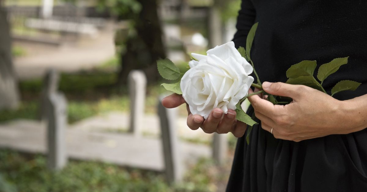 persona tiene una rosa bianca