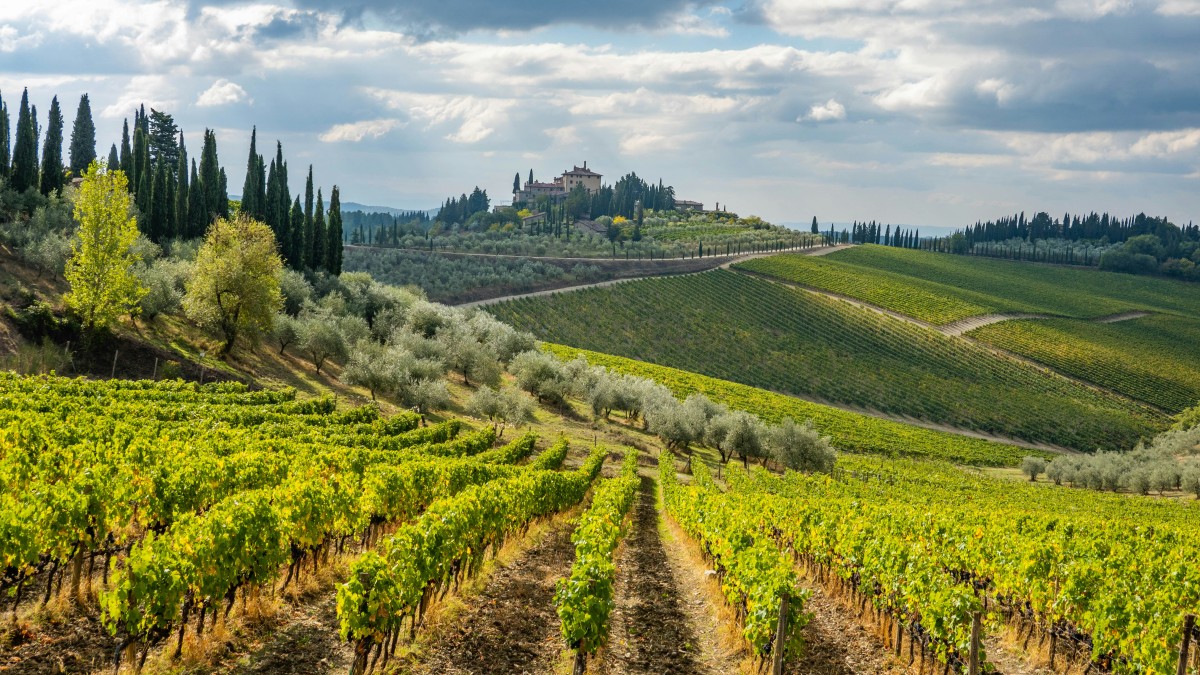 chianti