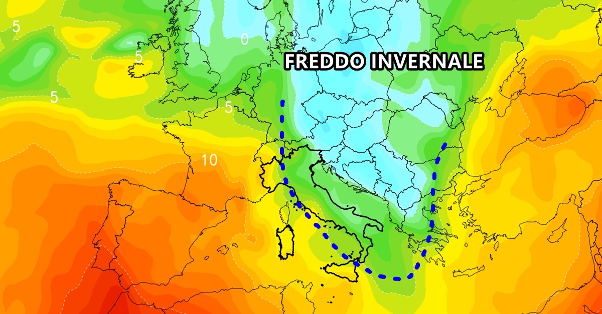 freddo