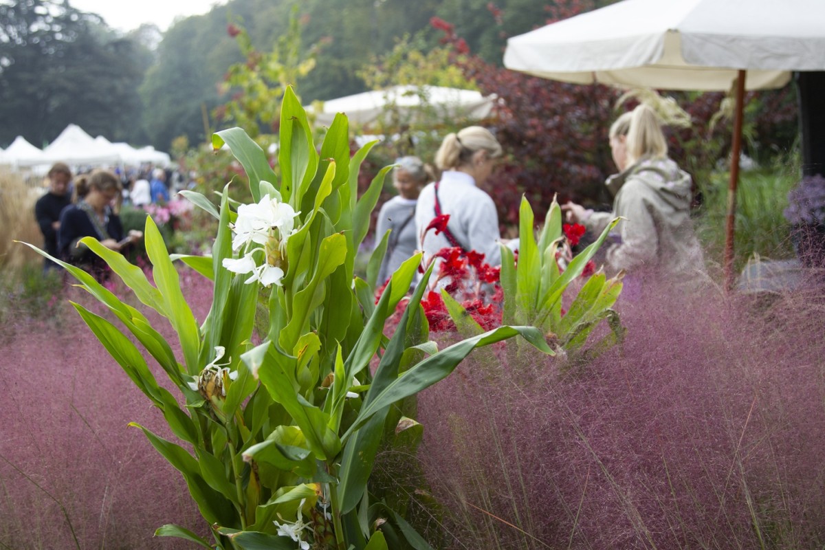 Tre giorni per il giardino FAI