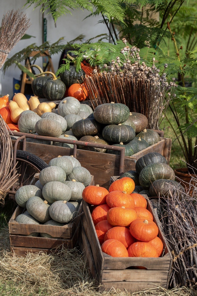 Tre giorni per il giardino FAI